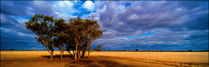 Northern NSW- Landscapes